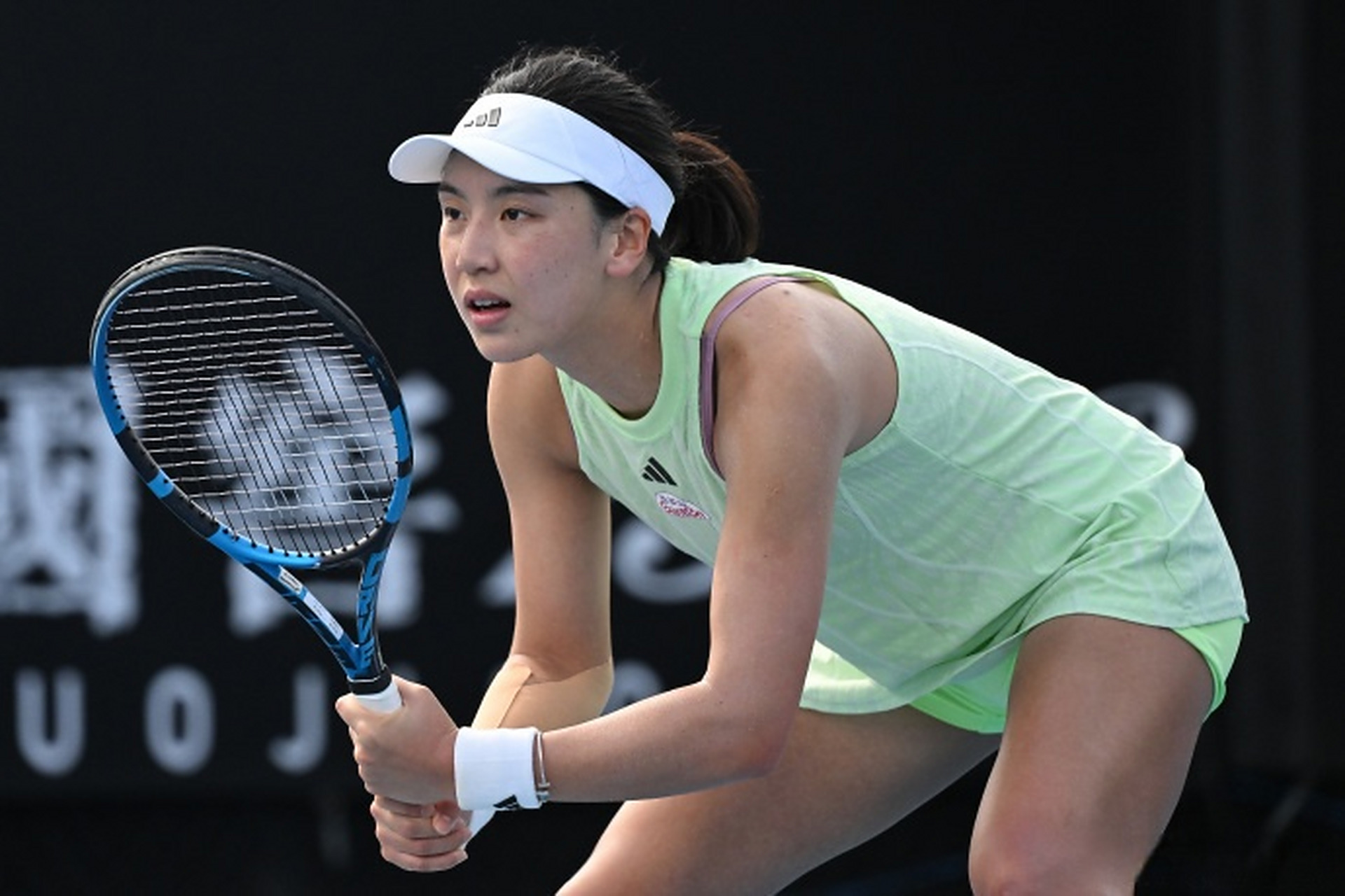 哈蘭德在奧 哈蘭德在奧