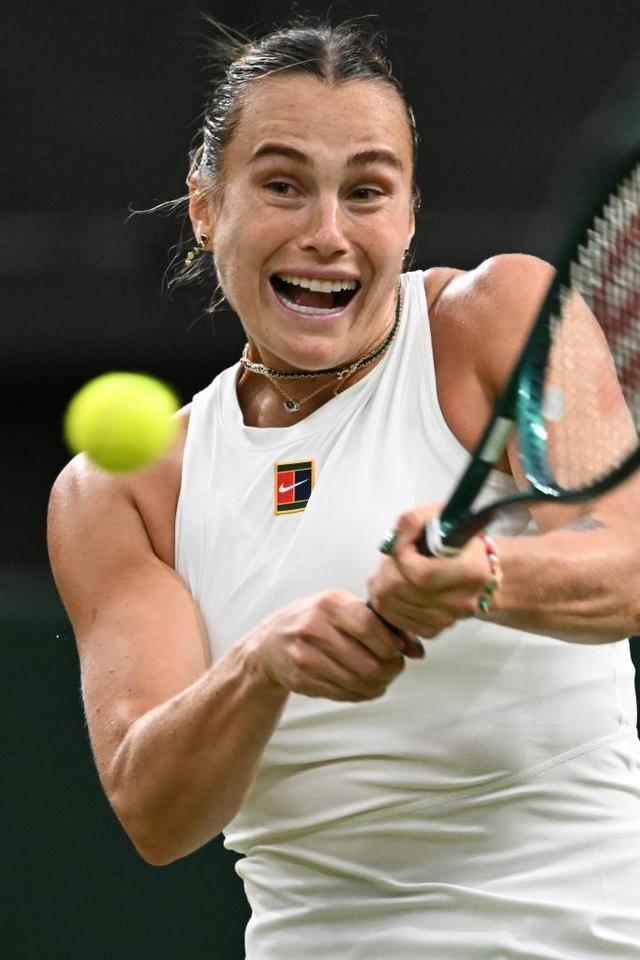 手如林的赛 手如林的赛